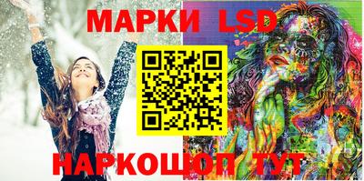 стафф Камышлов