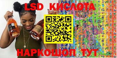 стафф Камышлов
