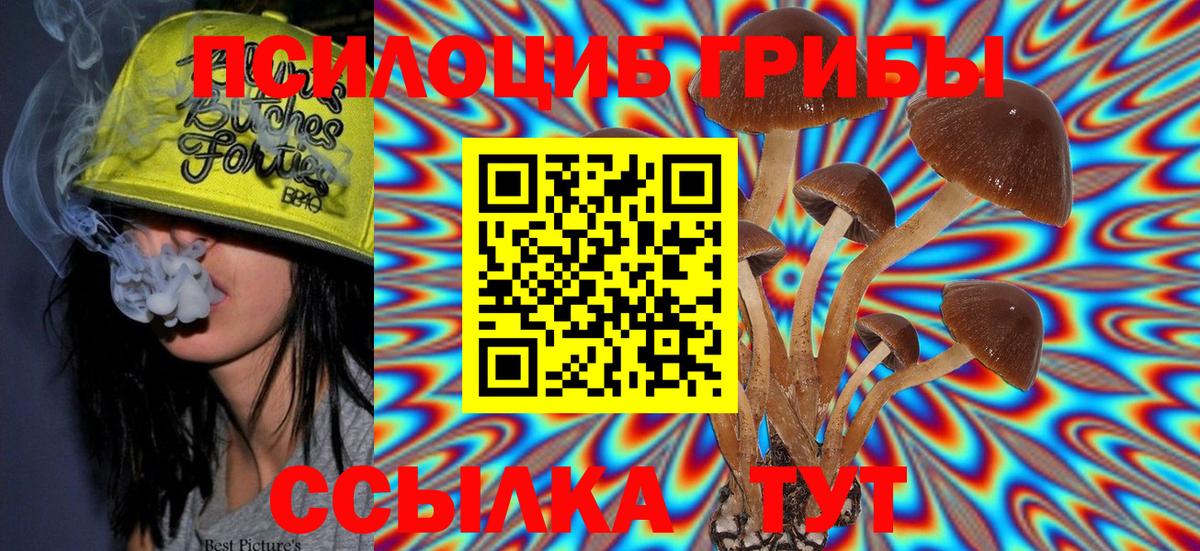 Радужный  Галлюциногенные грибы GOLDEN TEACHER  Вход с VPN  Псилоцибиновые грибы Magic Shrooms 